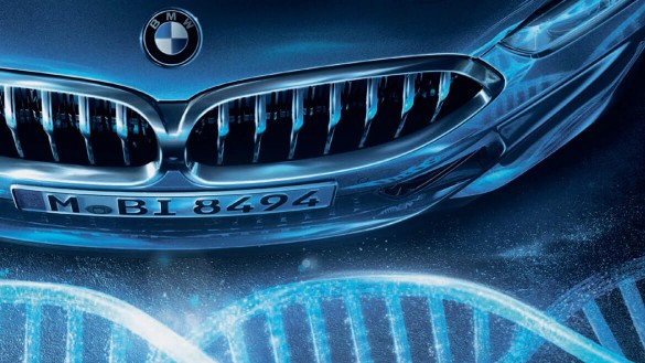 photo_text_left_right8484